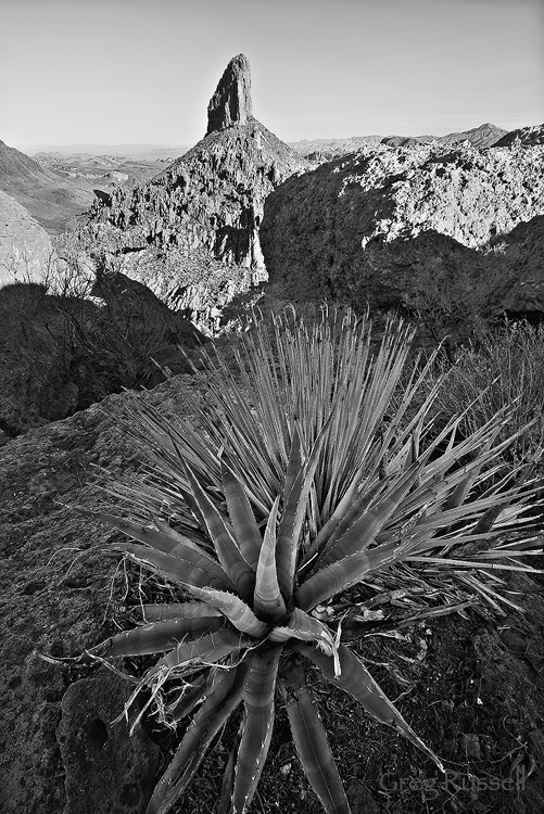 Image of Weaver's Needle in the early morning light, Superstition Mountains, Arizona