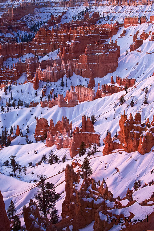 bryce canyon, bryce canyong national park, bryce, national park, claron formation, utah national park, bryce photo