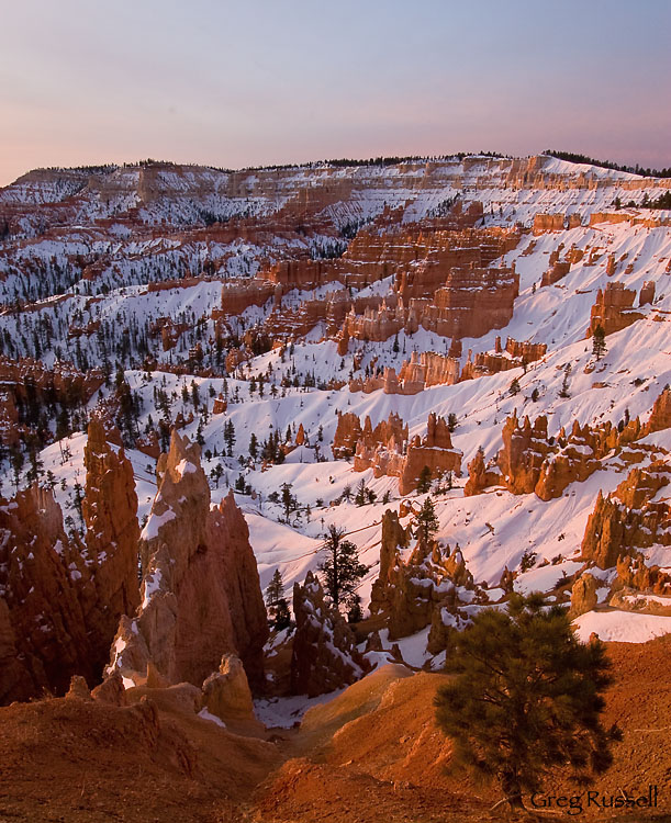 bryce canyon, bryce canyong national park, bryce, national park, claron formation, utah national park, bryce photo