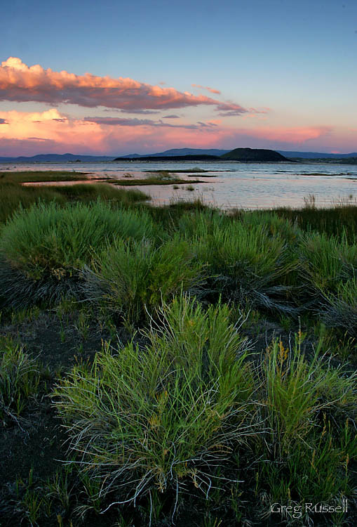 mono lake, mono lake national scenic area, mono basin, great basin photo, basin and range, geological formation, water rights, eastern Sierra, Sierra Nevada destinations