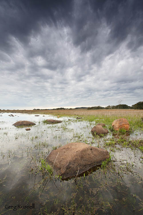 santa rosa plateau, engelmann oak, Quercus engelmannii, bunchgrass prairie, riverside county open spaces, open space initiative, nature conservancy, moonrise, full moon photo, moon photo