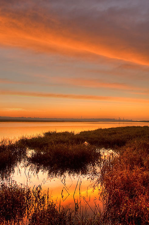 sunrise photo, beautiful sunrise, water reflections, reflection, sunrise photo, bolsa chica bay, california sunrise, california photo