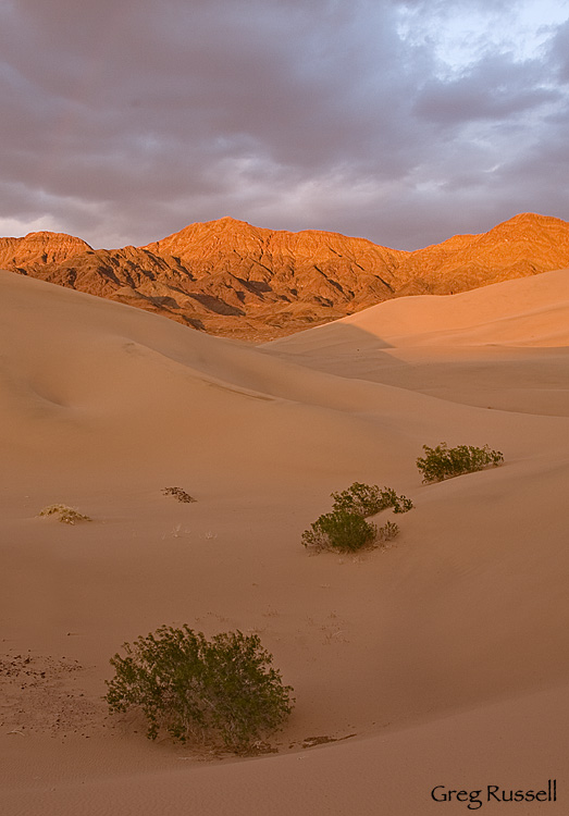 Ibex Dunes at sunset, Death Valley National Park, California