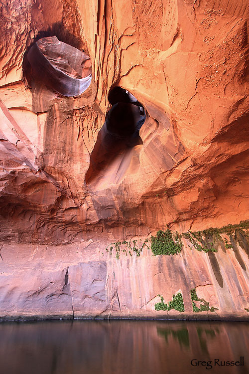 grand staircase-escalante; national park photo; utah photo; glen canyon recreation area; hiker photo; natural phenomenon; canyon photo; us national parks; national monument; national recreation area; golden cathedral; neon canyon