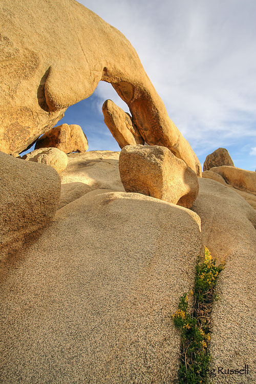 joshua tree; joshua tree national park;  arch rock, rock arch; natural arch; hdr photo