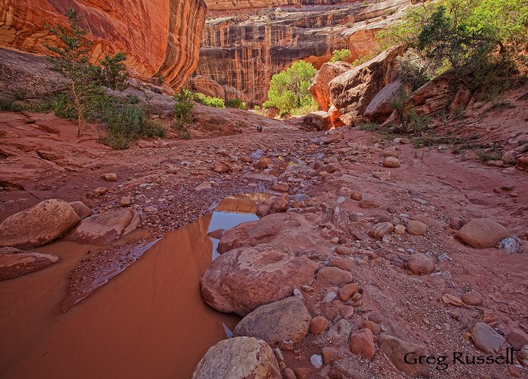 white canyon, natural bridges national monument, utah