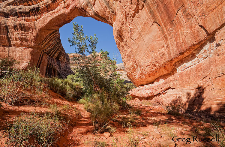 sipapu bridge is the second largest natural bridge in the world