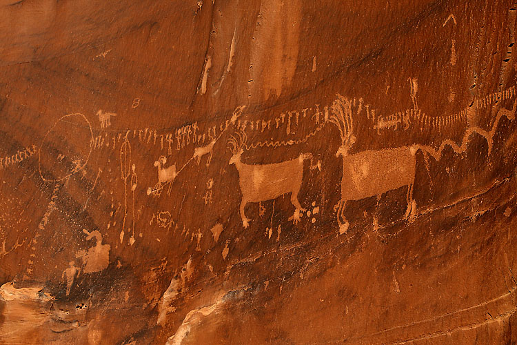 petroglyph photo, petroglyph panel, processiona panel, anasazi, utah history, archaeology photo