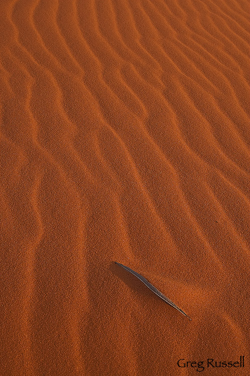 coral pink sand dunes, utah photo, utah, utah state park, department of natural resources, sand dune photo, macro landscape, intimate landscape, abstract photo, sand dune ripples