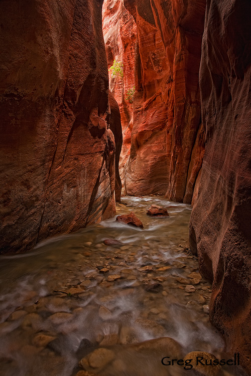 kanarra creek narrows, near kanarraville, utah