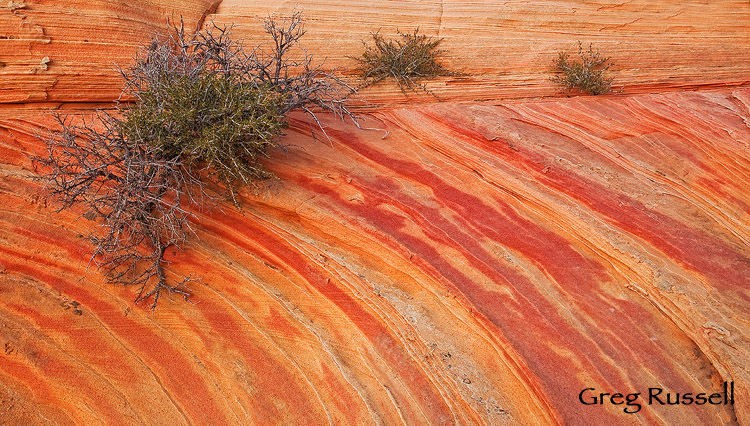 Strangely colored sandstone formations in Coyote Buttes South, Arizona