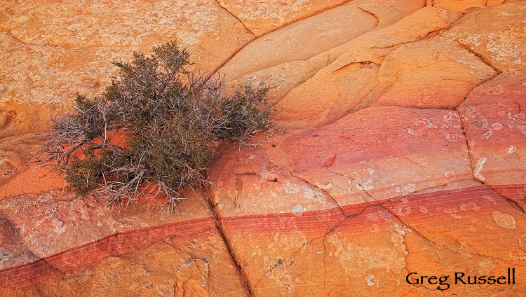 Strangely colored sandstone formations in Coyote Buttes South, Arizona