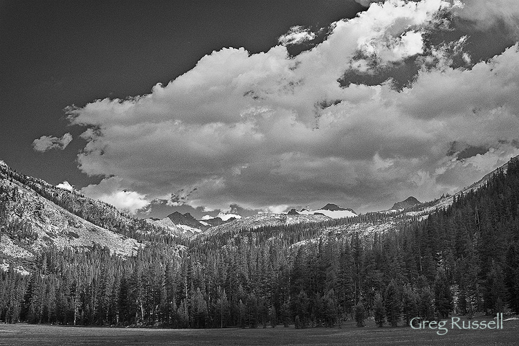 lyell canyon, yosemite national park