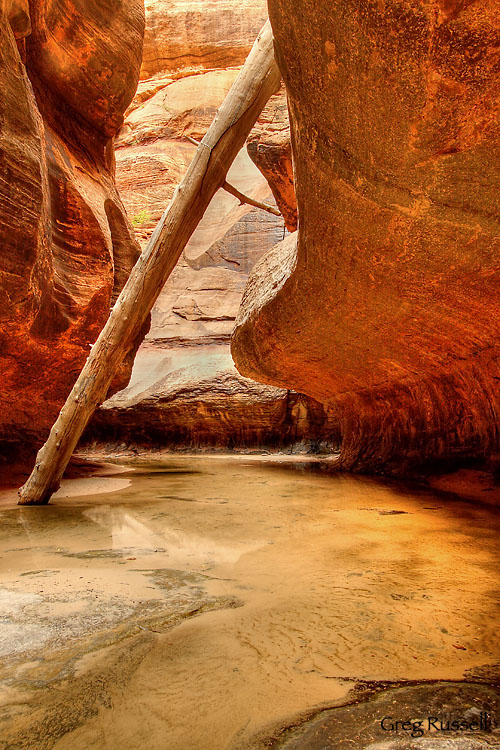 zion, zion national park, national park, utah, subway, fallen log, left fork north creek, canyoneering