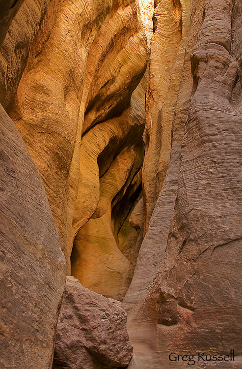 zion, zion national park, national park, utah, mystery canyon, canyoneering