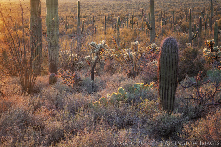 Alpenglow Images Alpenglow Images | Landscape & Nature Photography by ...