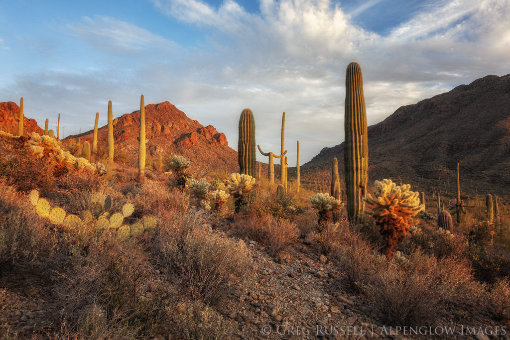 Tucson Mountains Sunset - Alpenglow Images Photography